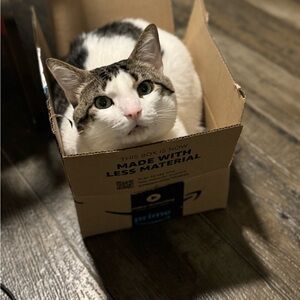 Meet your Posher, Morgan